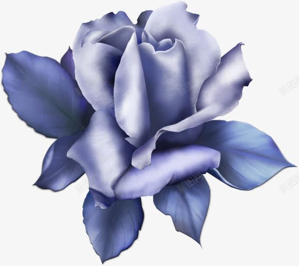 蓝玫瑰装饰蕾丝3png免抠素材_新图网 https://ixintu.com 蓝玫瑰 蕾丝 装饰