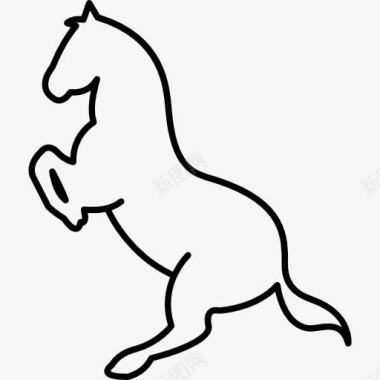 站起来的马的轮廓图标图标