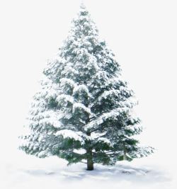 雪树圣诞促销海报素材