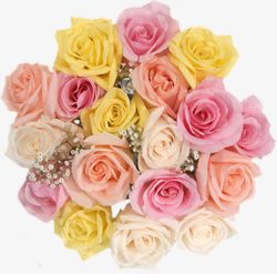 彩色甜蜜玫瑰花朵素材