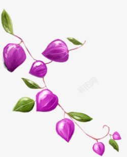 春天手绘紫色花苞素材