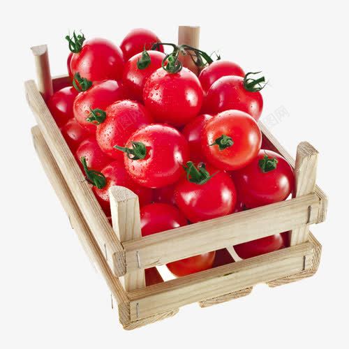 红色小番茄png免抠素材_新图网 https://ixintu.com 小番茄 红色 茄子 食物