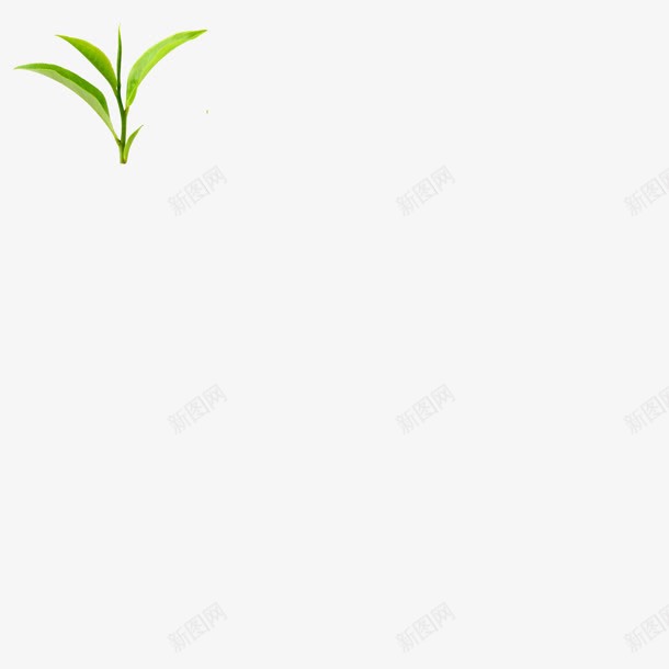 绿色植物叶子png免抠素材_新图网 https://ixintu.com 叶子 图片 素材 绿色植物