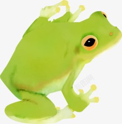 绿色手绘青蛙素材