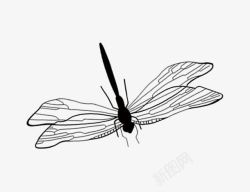 黑色手绘蜻蜓素材
