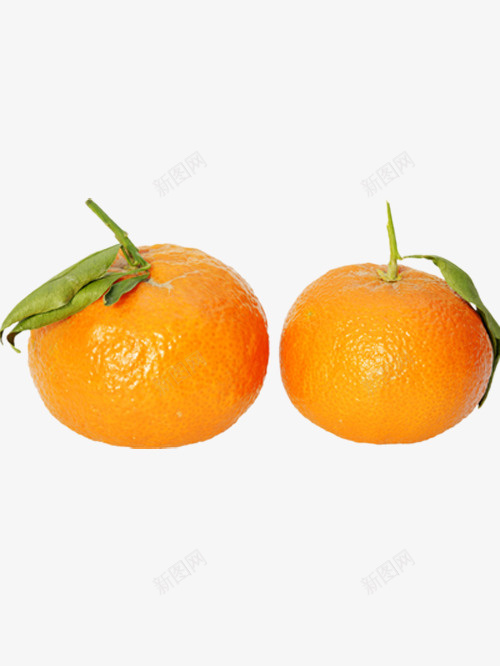 两个橘子png免抠素材_新图网 https://ixintu.com 二选一 产品实物 可口的橘子 好吃的橘子 美味的橘子