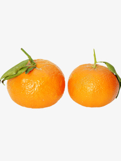两个橘子素材