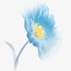 蓝色唯美装饰花卉素材