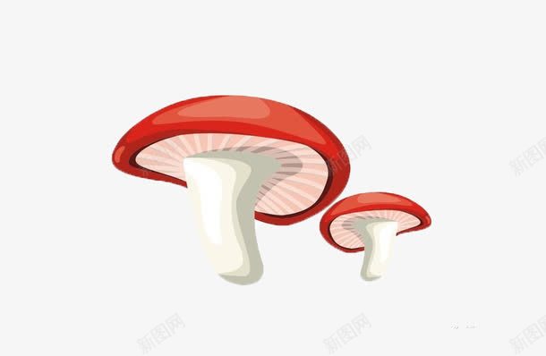 蘑菇可爱卡通彩色png免抠素材_新图网 https://ixintu.com 卡通 可爱 彩色 蘑菇