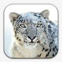 雪豹系统png免抠素材_新图网 https://ixintu.com leopard snow 豹 雪