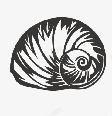黑白海蚌图标图标