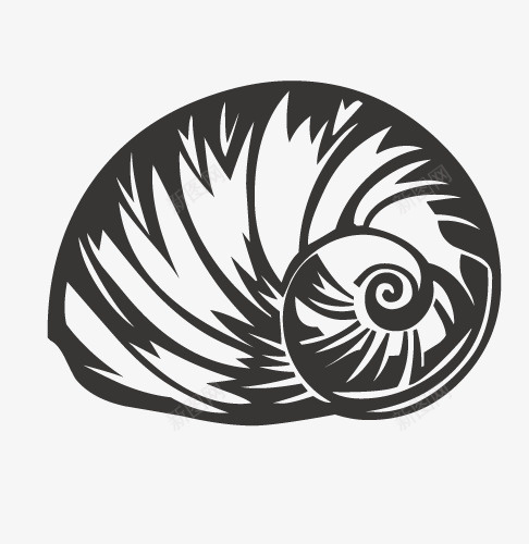 黑白海蚌图标png_新图网 https://ixintu.com 单色 海洋生物 海蚌