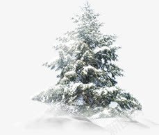 白色树木雪景png免抠素材_新图网 https://ixintu.com 树木 白色 设计 雪景