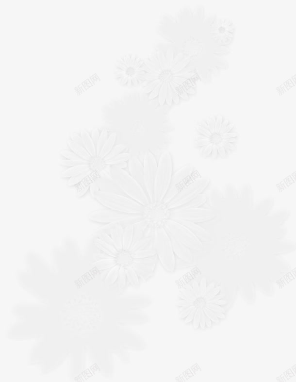 白色向日葵花朵png免抠素材_新图网 https://ixintu.com 向日葵 植物 花卉 葵花