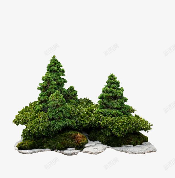 绿色的盆景树png免抠素材_新图网 https://ixintu.com PNG素材 树木 盆景 绿色