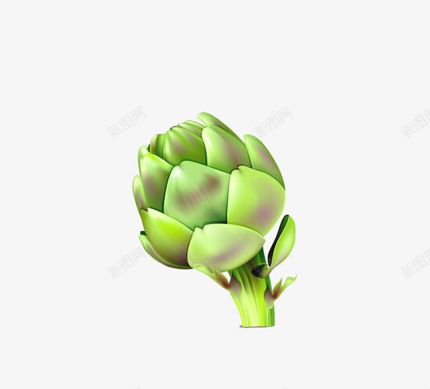 绿色植物花蕾png免抠素材_新图网 https://ixintu.com 卡通 可爱 嫩芽 手绘 植物 花蕾