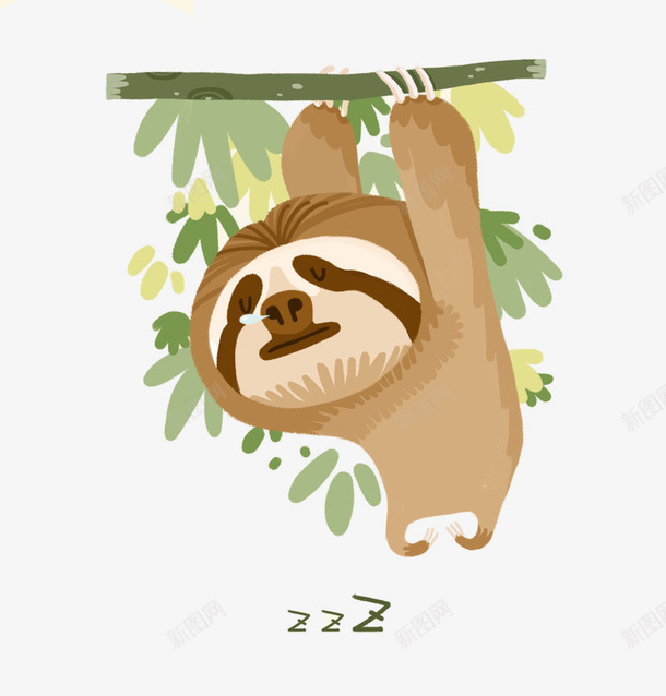 吊在树上睡觉的小动物png免抠素材_新图网 https://ixintu.com 动物 卡通 手绘 树上 睡觉