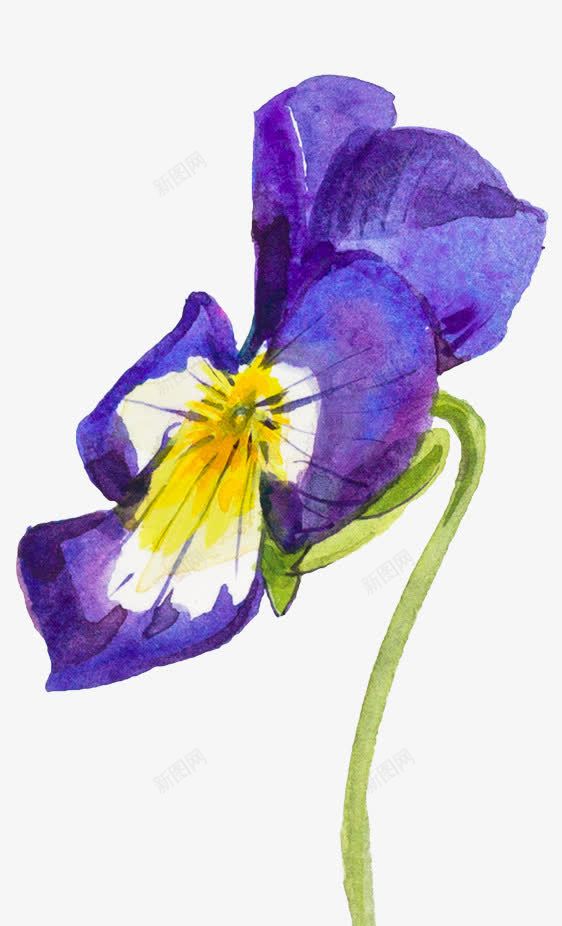 紫色的花png免抠素材_新图网 https://ixintu.com 手绘画 矢量装饰 紫色 装饰 鲜花