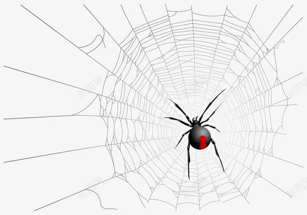 结网的蜘蛛png免抠素材_新图网 https://ixintu.com 动物 红点蜘蛛 蜘蛛 蜘蛛网
