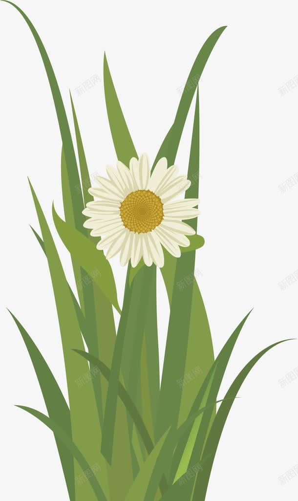 绿色小草png免抠素材_新图网 https://ixintu.com 手绘 植物 白色花朵 绿色小草 花瓣 黄色花蕊