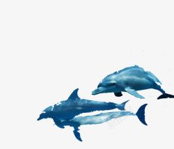 游动鲸鱼装饰图案高清图片