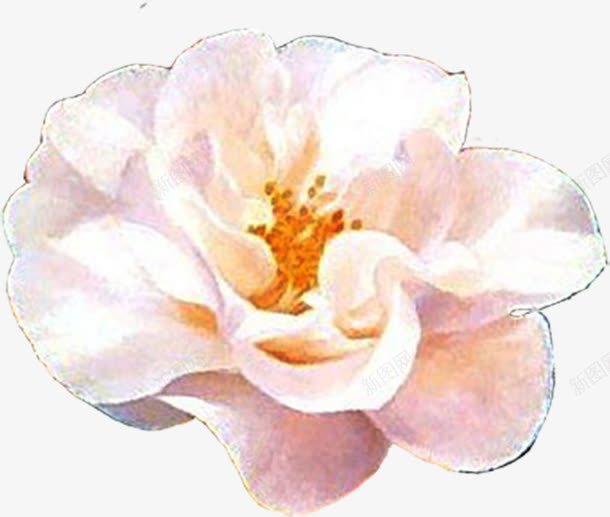 粉色水彩花朵植物创意png免抠素材_新图网 https://ixintu.com 创意 植物 水彩 粉色 花朵