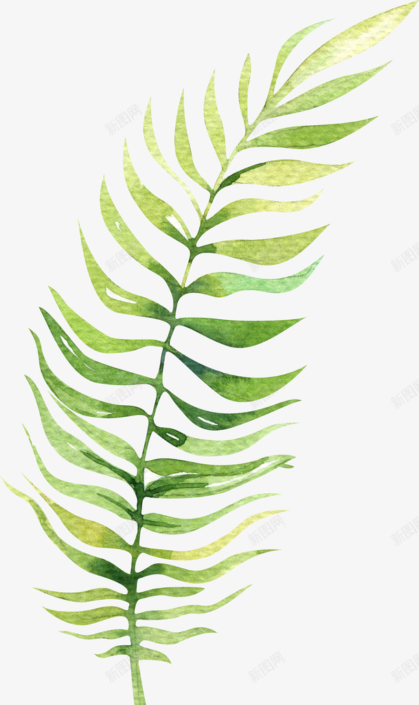 长条树叶植物png免抠素材_新图网 https://ixintu.com 创意 卡通 商务 手绘 树叶 简约 绿色 设计 长条