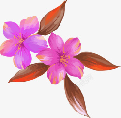 粉色手绘效果花朵矢量图素材