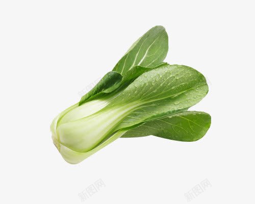 食材小白菜png免抠素材_新图网 https://ixintu.com 小白菜 蔬菜 食材 食物