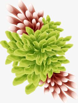 植物卡通海报手绘珊瑚素材