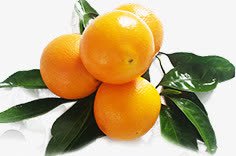 新鲜橙子食物水果素材
