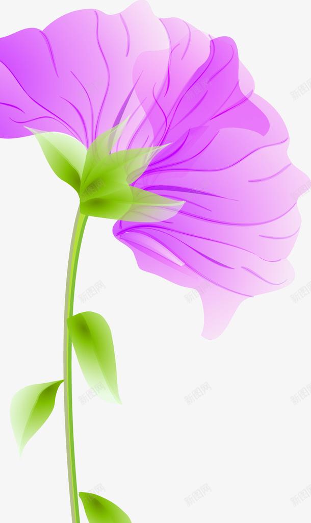 紫色半透明花朵图png免抠素材_新图网 https://ixintu.com 半透明花 叶子 彩色 彩色花 彩色花卉 矢量花朵 花 花卉 花朵 花朵图