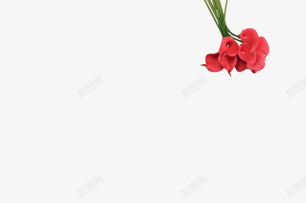 红色花束png免抠素材_新图网 https://ixintu.com 图片 红色 花束