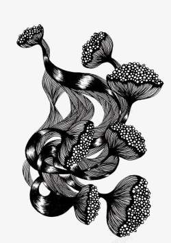 中国风黑白花艺术装饰图素材