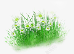 手绘白花绿草装饰图案素材