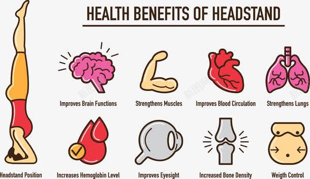运动倒立png免抠素材_新图网 https://ixintu.com 倒立 器官 大脑 心脏 肌肉 肚子 血 运动 骨头
