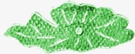绿色卡通珍珠创意植物png免抠素材_新图网 https://ixintu.com 创意 卡通 植物 珍珠 绿色
