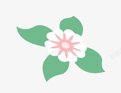 小白花png免抠素材_新图网 https://ixintu.com 小花卉 淘宝装饰图案 白花 装饰