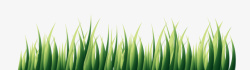 春节绿色小草植物素材