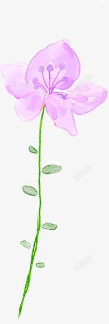 手绘粉色淡彩花卉海报素材