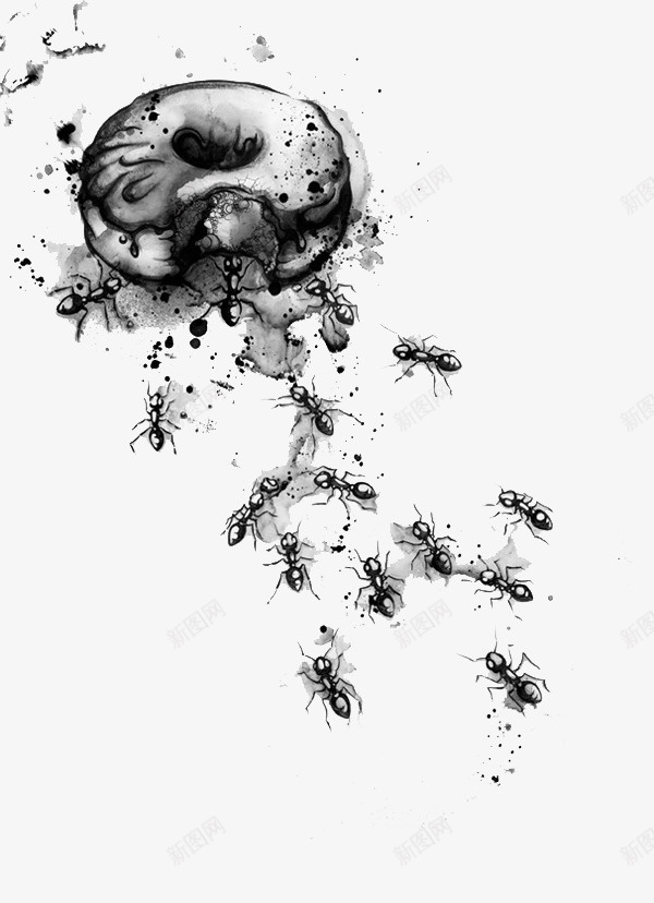 水墨食物蚂蚁插画psd免抠素材_新图网 https://ixintu.com 插画 水墨 蚂蚁 食物