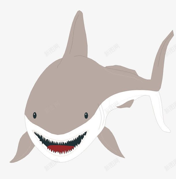 虎鲨矢量图eps免抠素材_新图网 https://ixintu.com 动物 矢量素材 虎鲨 鲨鱼 矢量图