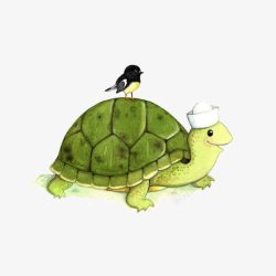乌龟上的鸟水彩插画素材