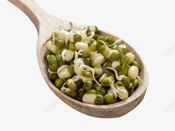 一勺正在发芽的绿豆png免抠素材_新图网 https://ixintu.com 发芽 发芽的绿豆 可以吃的食物 叶子 绿豆叶 豆制品 豆子
