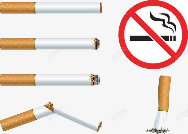 禁止吸烟png免抠素材_新图网 https://ixintu.com nosmoking 土烟 抽烟 烟 烟叶 烟缸 烟草 烟雾 禁止吸烟 高清免扣素材