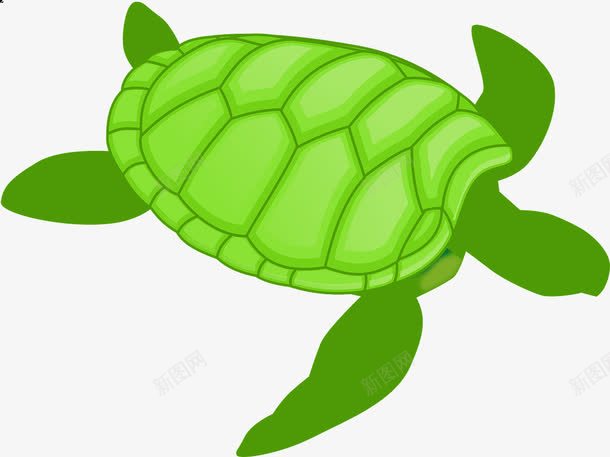 大海龟png免抠素材_新图网 https://ixintu.com 海龟 游泳健将 绿色