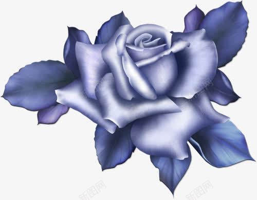 手绘蓝色玫瑰花png免抠素材_新图网 https://ixintu.com 手绘花 玫瑰花 花卉 花朵 蓝色花