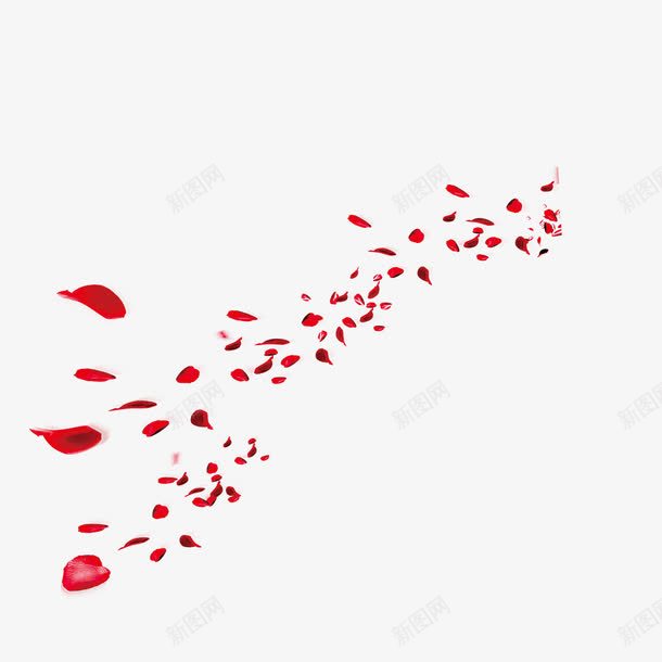 深红色的飘动的花瓣png免抠素材_新图网 https://ixintu.com 背景 花瓣 装饰 运动