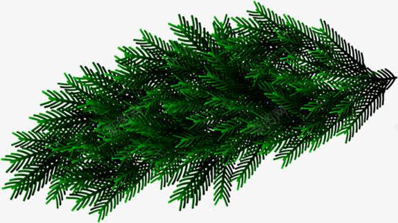 圣诞节绿色植物景观png免抠素材_新图网 https://ixintu.com 圣诞节 景观 绿色植物