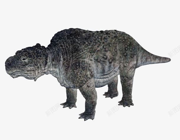 斑点恐龙png免抠素材_新图网 https://ixintu.com 动物 巨型 恐龙 斑点